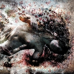 subarachnoid space - eight bells subarachnoid space - eight bells