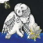 songs: ohia - the magnolia electric co. songs: ohia - the magnolia electric co.