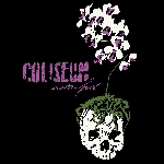 coliseum - sister faith coliseum - sister faith