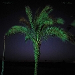 land of kush - sand enigma land of kush - sand enigma