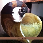 alvin curran (winant - dreyblatt - riessler) - shofar rags alvin curran (winant - dreyblatt - riessler) - shofar rags