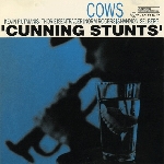 cows - cunning stunts cows - cunning stunts