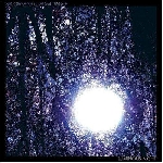 six organs of admittance - luminous light six organs of admittance - luminous light