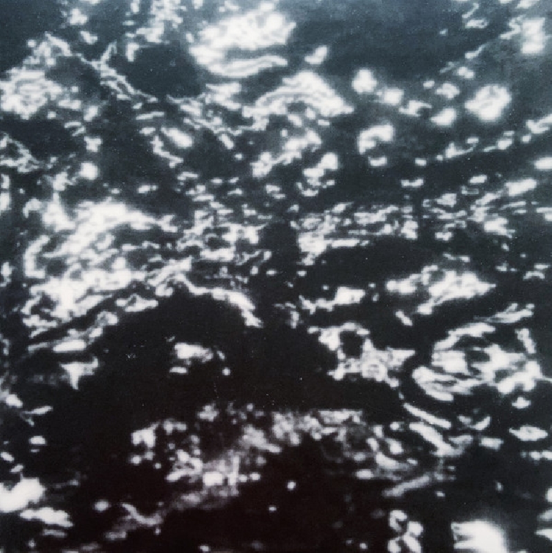 grouper - AIA: alien observer grouper - AIA: alien observer
