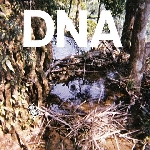 dna - a taste of dna dna - a taste of dna