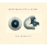 medeski martin & wood - radiolarians 1 medeski martin & wood - radiolarians 1