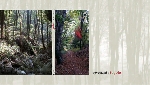 revenant - topolo revenant - topolo
