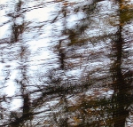 steve roden - speak no more about the leaves steve roden - speak no more about the leaves