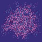 no fun acid - this is no fun acid 2 no fun acid - this is no fun acid 2