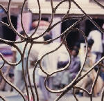 celer - weavings of a rapid disenchantment celer - weavings of a rapid disenchantment