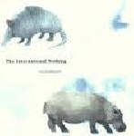 the international nothing (kai fagaschinski - michael thieke) - mainstream the international nothing (kai fagaschinski - michael thieke) - mainstream