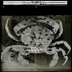 colin stetson - new history warfare vol. 1 colin stetson - new history warfare vol. 1