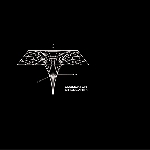 dublicator - singularity dublicator - singularity