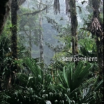 rodolphe alexis - sempervirent rodolphe alexis - sempervirent