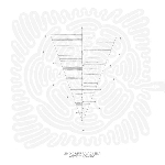 lino capra vaccina - antico adagio lino capra vaccina - antico adagio