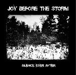 joy before the storm - silence ever after joy before the storm - silence ever after