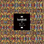 burstbot - memory imprints burstbot - memory imprints
