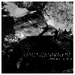 le crapaud et la morue - franche camaraderie le crapaud et la morue - franche camaraderie