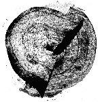 el memorioso - cinq formes du temps el memorioso - cinq formes du temps