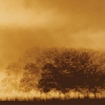 infinite light ltd. - s/t infinite light ltd. - s/t