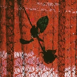studio mule - visible cloaks remix studio mule - visible cloaks remix