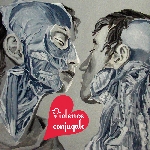 violence conjugale - s/t violence conjugale - s/t