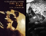 guillaume belhomme - daniel menche - d'entre les morts guillaume belhomme - daniel menche - d'entre les morts