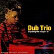 dub trio - exploring the dangers of dub trio - exploring the dangers of