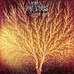 van der graaf generator - still life van der graaf generator - still life