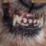 blanck mass (benjamin john power / fuck buttons) - world eater blanck mass (benjamin john power / fuck buttons) - world eater