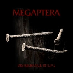 megaptera - disturbance ritual megaptera - disturbance ritual