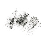 natura morta - decay natura morta - decay