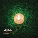 midlake - am i going insane (record store day 2011 release) midlake - am i going insane (record store day 2011 release)
