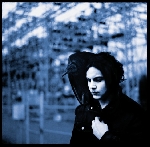 jack white (white stripes) - blunderbuss jack white (white stripes) - blunderbuss