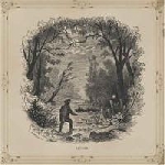 vetiver - vetiver vetiver - vetiver