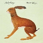 vashti bunyan - lookaftering vashti bunyan - lookaftering
