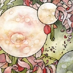 torche - in return torche - in return