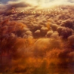 bowerbirds - upper air bowerbirds - upper air