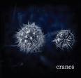 Cranes - cranes Cranes - cranes