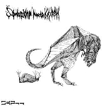 sensational meets koyxen - s/t sensational meets koyxen - s/t