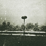 hiss tracts (gybe / set fire to flames / growings / total life) - shortwave nights hiss tracts (gybe / set fire to flames / growings / total life) - shortwave nights