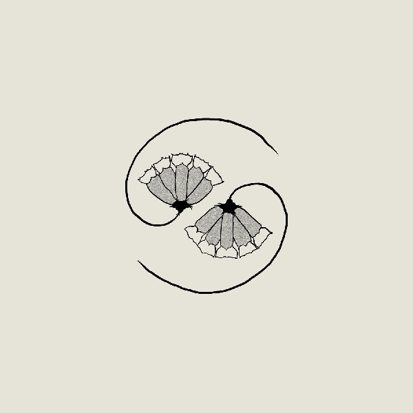 Godspeed You! Black Emperor - G_d’s Pee AT STATE'S END! Godspeed You! Black Emperor - G_d’s Pee AT STATE'S END!