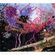 animal collective - here comes the indian animal collective - here comes the indian