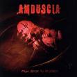amduscia - from abuse to apostasy amduscia - from abuse to apostasy