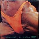 butthole surfers - rembrandt pussyhorse butthole surfers - rembrandt pussyhorse
