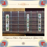henry kaiser - requia and other improvisations for guitar solo henry kaiser - requia and other improvisations for guitar solo