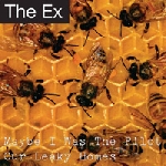 the ex - maybe i was the pilot the ex - maybe i was the pilot
