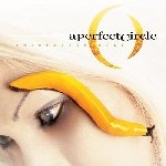 a perfect circle - thirteenth step a perfect circle - thirteenth step
