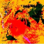 phill niblock - ypgpn phill niblock - ypgpn