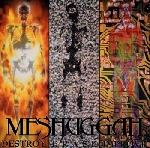 meshuggah - destroy erase improve meshuggah - destroy erase improve